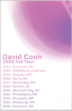 Load image into Gallery viewer, Bundle of 4 - David Cook 2021 Tour Posters
